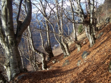 2006-12-16 passo del Frate(12).jpg