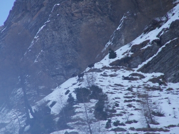 2006-12-16 passo del Frate(16).jpg