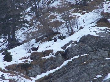 2006-12-16 passo del Frate(22).jpg