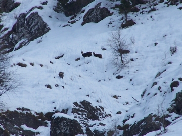 2006-12-16 passo del Frate(28).jpg