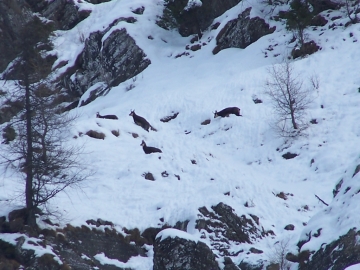 2006-12-16 passo del Frate(29).jpg