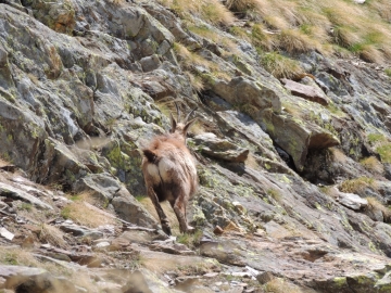 2012-06-02_03 Linge Valmalza 055