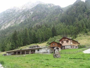 2023-07-29-Sella-del-Campanone-del-Coppo-61
