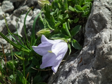 2011-07-24 alben e croce 219