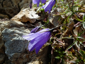 2010-09.12 monte Pradella 057