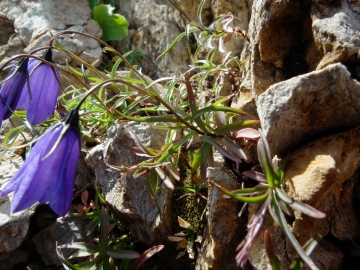 2010-09.12 monte Pradella 058