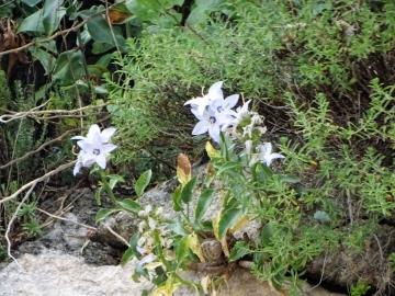 2018-06 -20 D Matera (64)