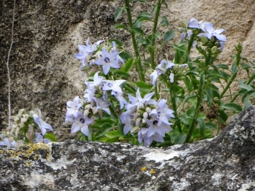 2018-06 -20 D Matera (65)