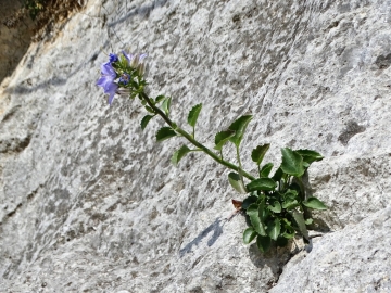 2018-06-22 A Matera (11)