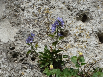 2018-06-22 A Matera (27)