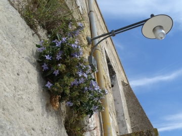 2018-06-22 A Matera (28)