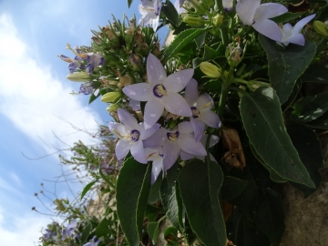 2018-06-22 A Matera (33)