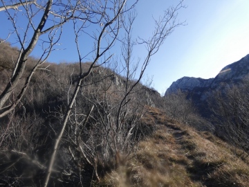 2020-01-19-Campei-da-Brasasio-16