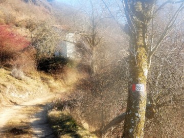2020-01-19-Campei-da-Brasasio-23