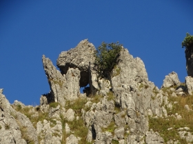 2018-10-03 canalino dei Sassi Cancervo (30)