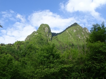 2026-05-17-Cascina-della-Berga-10