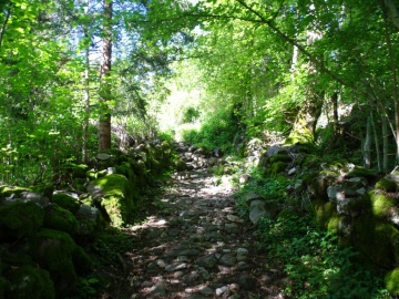 2026-05-17-Cascina-della-Berga-30