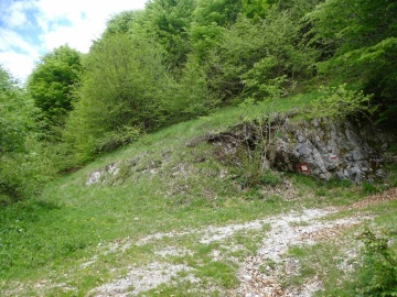 2026-05-17-Cascina-della-Berga-49