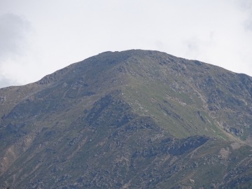 2021-08-20-cervi-in-Valmalza-36