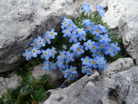 2016-08-03 Rosetta e Fradusta ( (56)