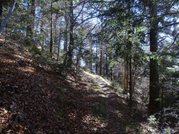 2023-04-01-cima-Borei-17