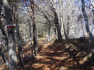 2023-04-01-cima-Borei-19