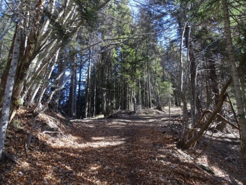 2023-04-01-cima-Borei-23