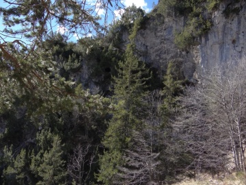 2023-04-01-cima-Borei-47