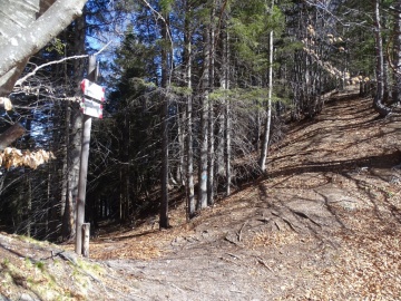 2023-04-01-cima-Borei-52
