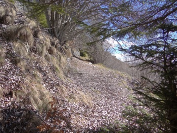 2023-04-01-cima-Borei-54