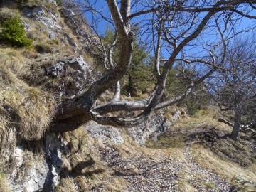 2023-04-01-cima-Borei-56