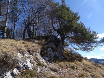 2023-04-01-cima-Borei-59
