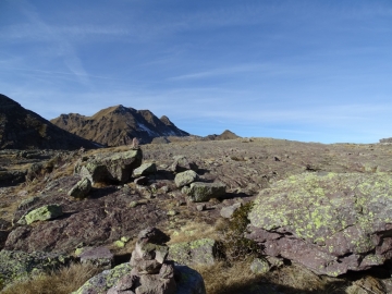 14 2015-29-11 laghi Gemelli Alpe corte Camilla 010