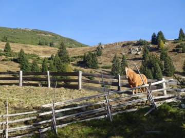 2021-10-17-Corno-di-Quaire-Karnspitze-14