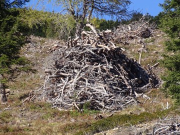 2021-10-17-Corno-di-Quaire-Karnspitze-78