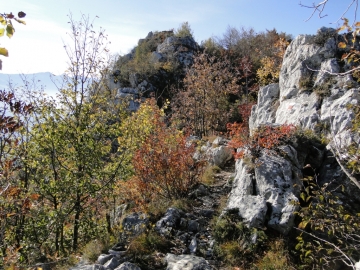28 2011-10-29 Cime Nodice_Bal_Nara 034