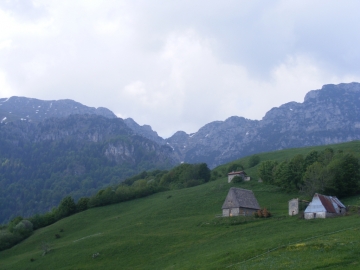 2009-05-17 Monte Tombea 096