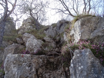 2024-04-07-cima-Rocca-56