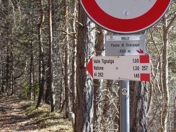 2022-03-13-cima-Tignalga-15