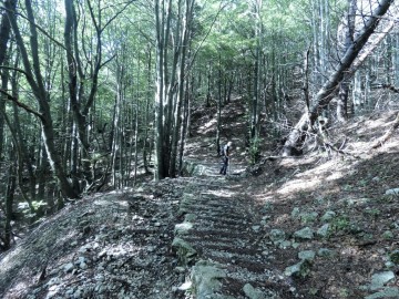 2019-08-08-cima-Trappola-110a