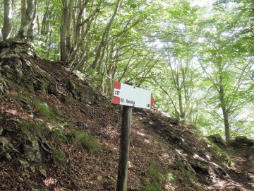 2019-08-08-cima-Trappola-111