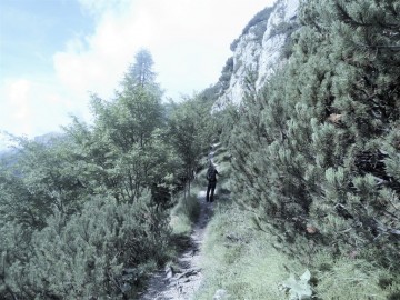 2019-08-08-cima-Trappola-114a