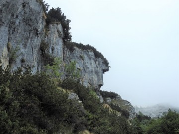 2019-08-08-cima-Trappola-148