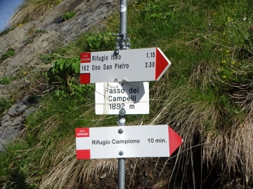 2016-06-15 cima di Tanerle e Sfandita (13)