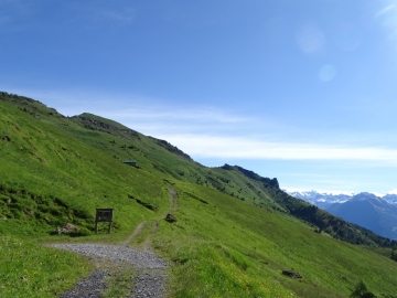 2016-06-15 cima di Tanerle e Sfandita (15)