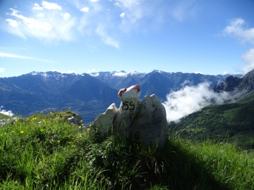 2016-06-15 cima di Tanerle e Sfandita (21)