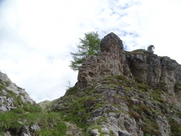 2016-06-15 cima di Tanerle e Sfandita (47)