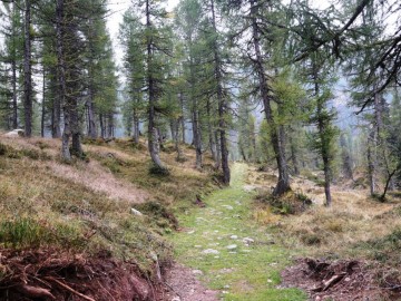 2026-09-30-malga-Clef-25