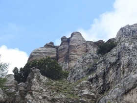 2018-06-06 Col Santo e Col Santino 085