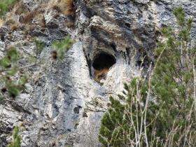 2018-04-15 passo Puria da Cadria 022